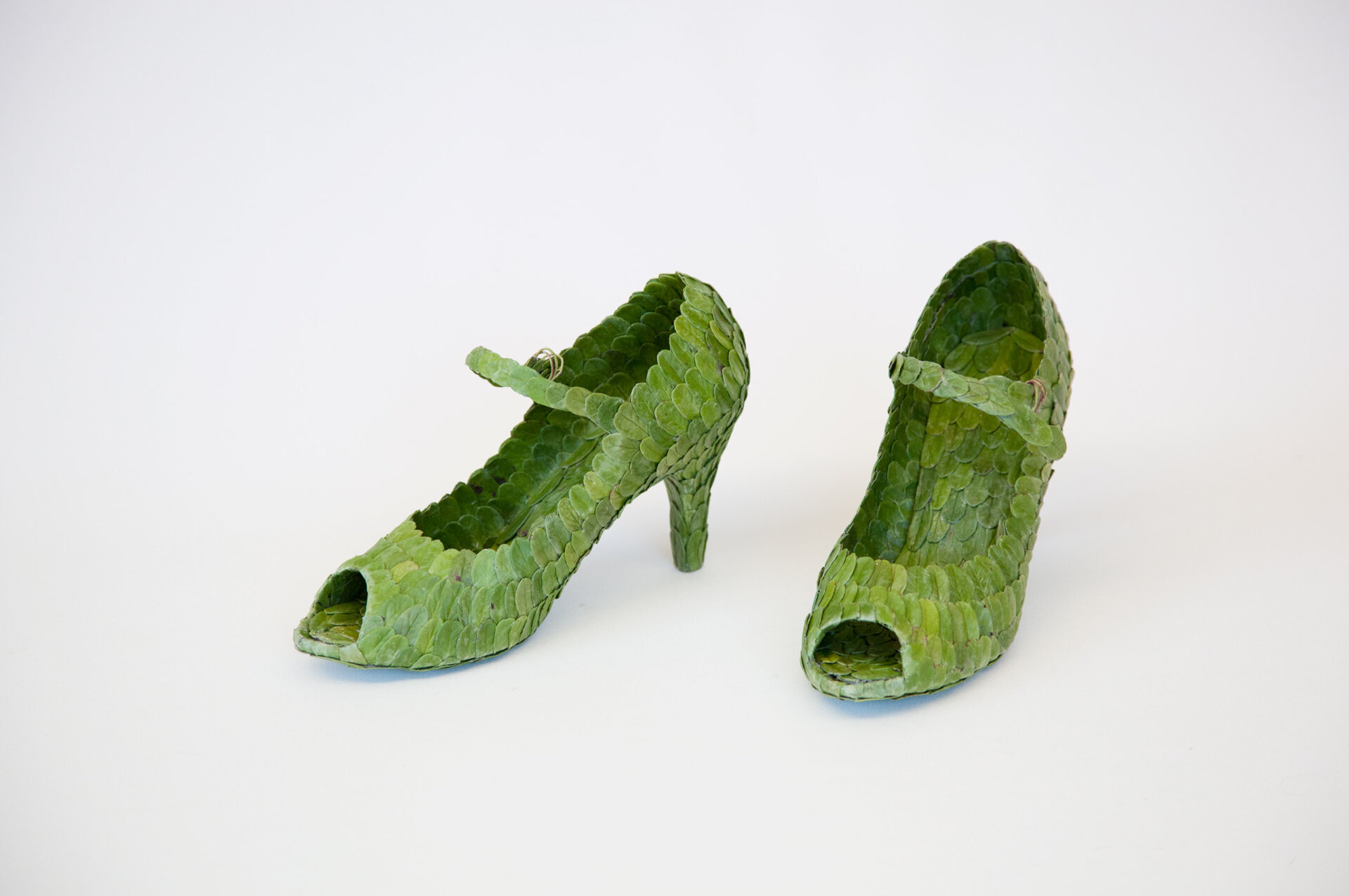 Lehdistä tehdyt tanssikengät