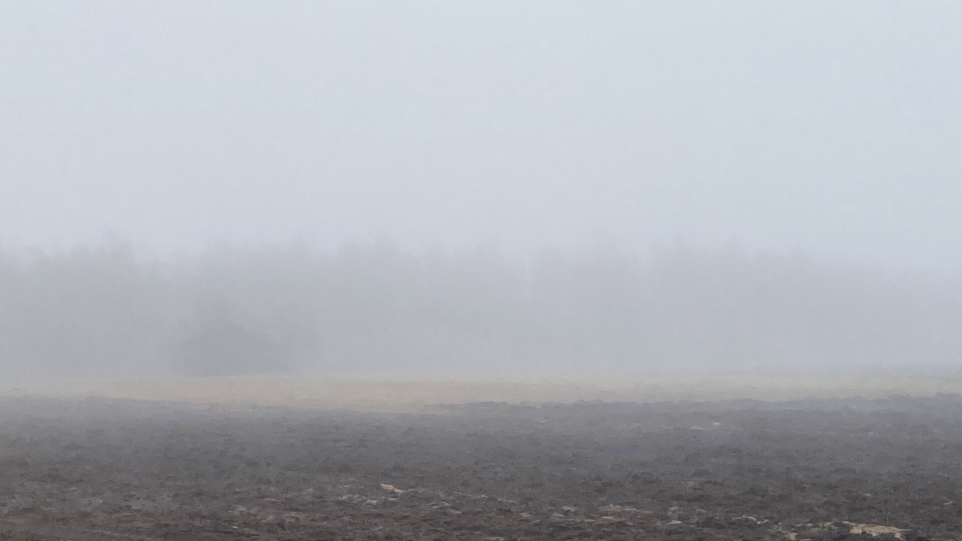 Sumuinen pelto Hailuodossa